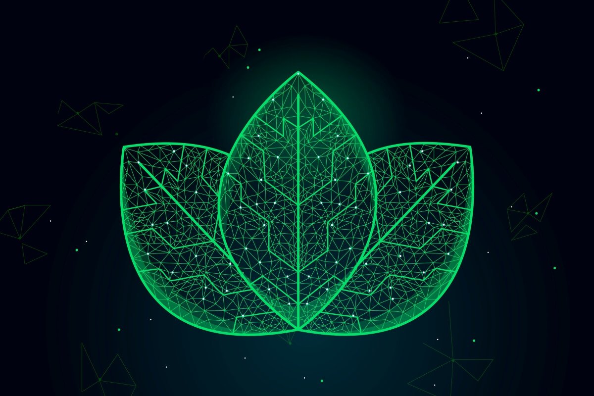 Sustainable development in Climate change